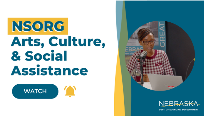 NSORG - Arts, Culture & Social Assistance